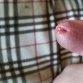 Фото Павел (Potok)