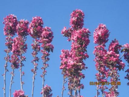 Мадинка (madina111), фото на аватарке SexKompas Москва